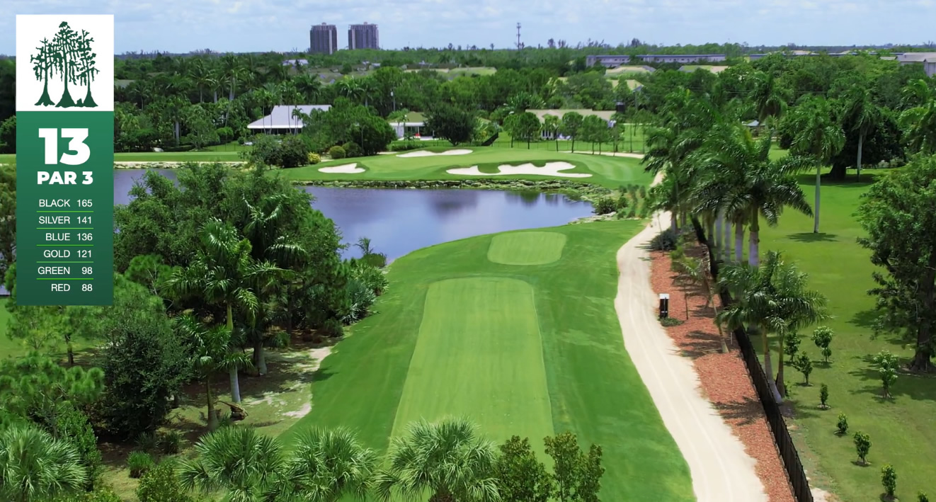 Cypress-Lake-Golf-Club-Fort-Myers-SWFL-Golf-Private-Golf-hole#13-Par3-Tee-shot